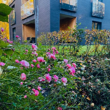 Apartament Magia Puszczy Z Widokiem Na Puszcze Bialowieska Hajnówka Dış mekan fotoğraf